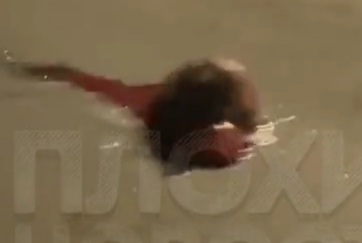 Her head was decapitated, woman commit suicide under speeding car 