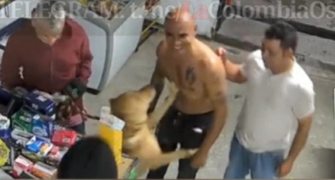 Dog Rips off Part of Dudes Lip Who Was Petting Him.