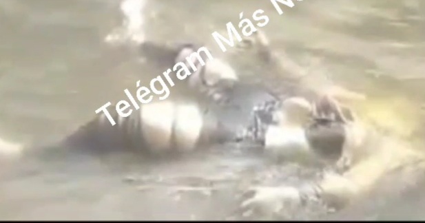 Rotten body of drowned woman floating in river 