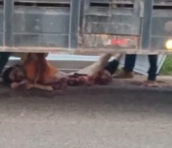 Woman Collected in Pieces Under the Truck