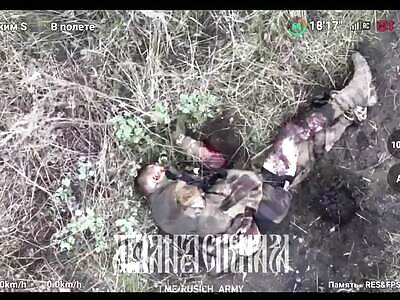 Russian drone finishes off wounded Ukrainian