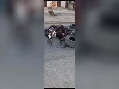 Traffickers murder their opponents