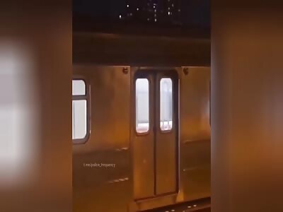 New York police are beaten by two young men