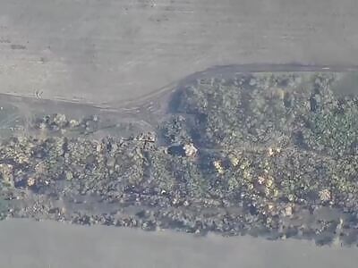 Lancets Continue To Work Ukrops 