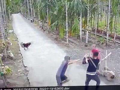 Elderly Man Beaten With A Hoe During Fight Of Neighbours 