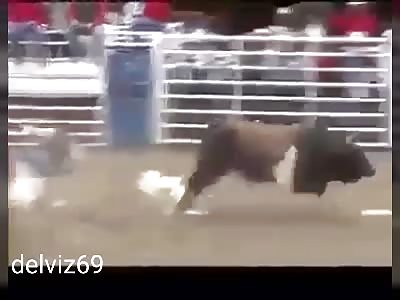 Rude animal against subjects