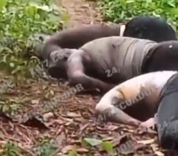 Discovering lifeless and decomposed bodies of 03 people