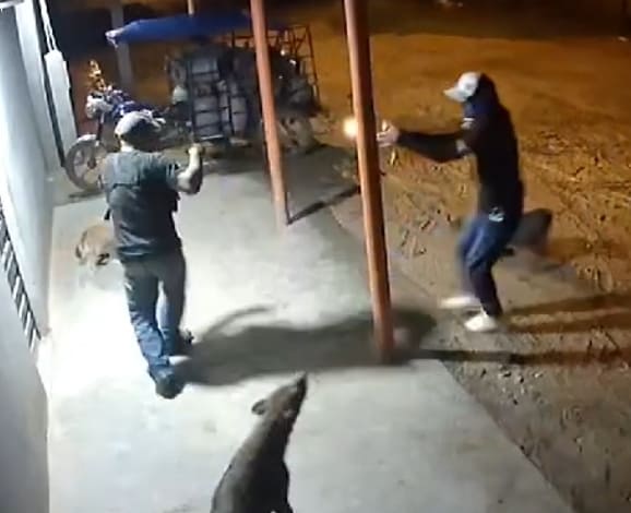 Should've Given Up The Cell Phone...