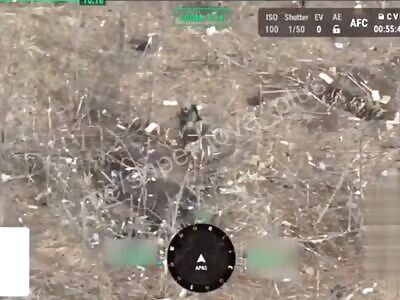 Russian Assault Goes Very Bad