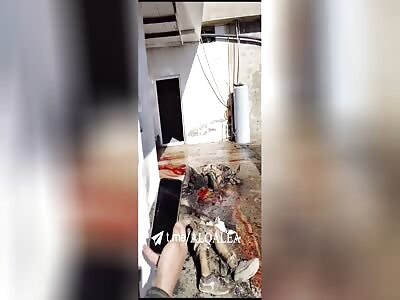 4 isis pigs killed in iraq