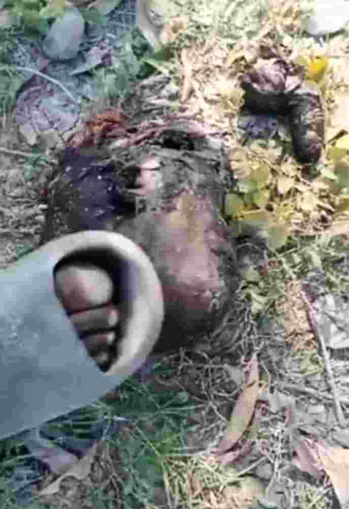 Crispy Body Dismembered And Castrated By Gang