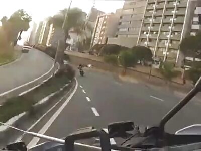 Thief died instantly while fleeing from police