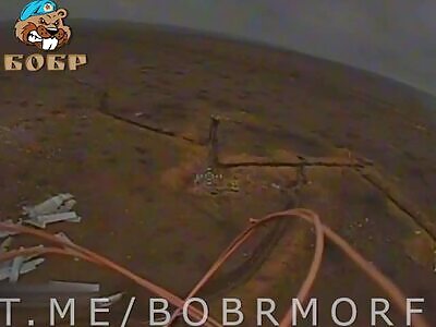 FPV Drones Hitting Ukrps