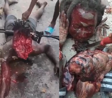 The Incredible Haiti.