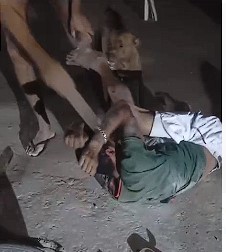 Home invader is beaten while trying to steal a bicycle