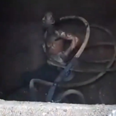  DAMN: There's No Reason This Man Should Be Alive