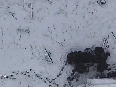 Grenade Drops on Russians (Compilation)