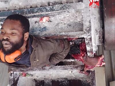 Haitian Dies in a Machine that Grinds Plastic