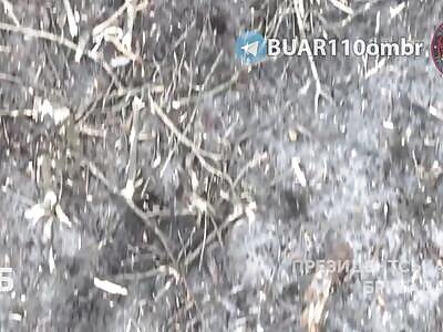 Dead Russian meat near Avdiivka