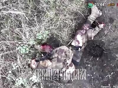 Russian drones bullying ukrops 