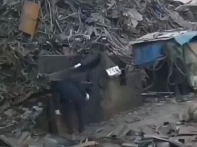 Enjoy Your Last Day on Earth (compilation)