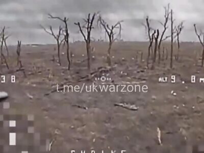 Russians lost at hide and seek