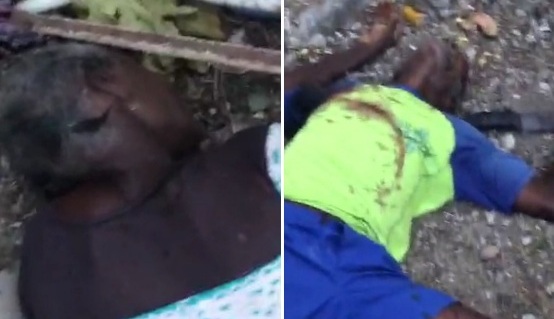 Old Couple Killed by Psycho Son using Machete 