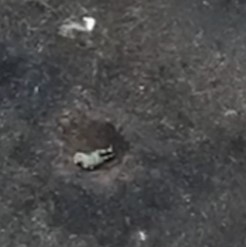 $500 Drone Takes Another Life.