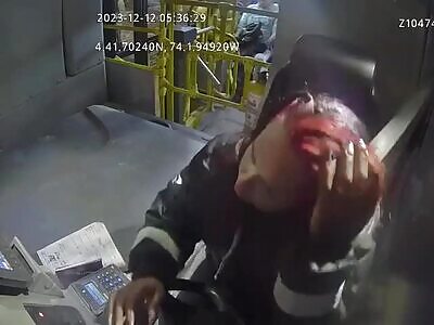 Female Bus Driver Savagely Attacked by Venezuelan Woman 