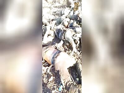 Good music made by good musicians 