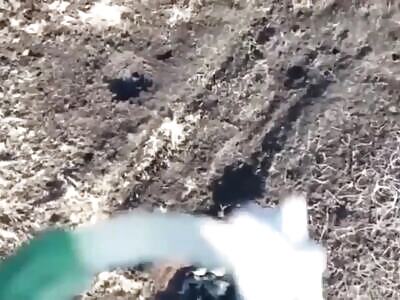 If you ask  How is the invasion going