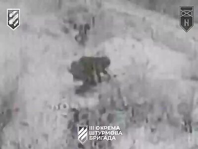 Minus the legs of the Russian occupier