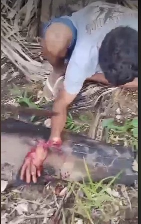 Never steal in the favela