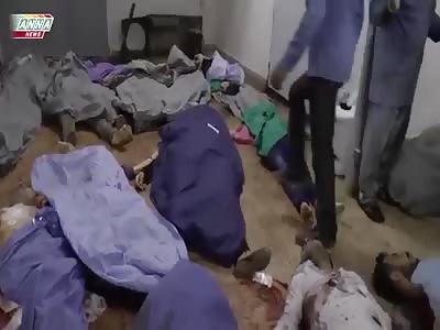 The pacific Syrian Government slaughtered their own people due to misfire