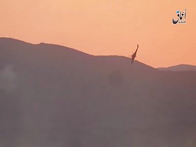 Russian Regime Chopper Slaughtered So Those Inside