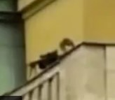 Prague School Shooter (15 Confirmed Dead)