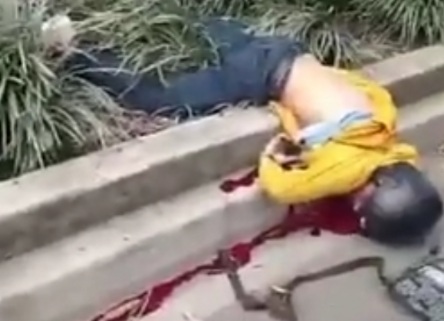 Motorcyclist died in a serious traffic accident