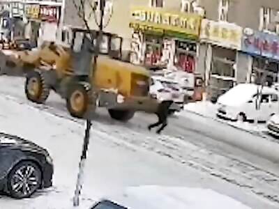 Snowplow just Killed the Christmas spirit