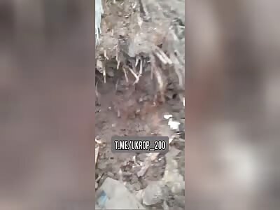 Dead Ukrops North of the village Verbovoe.