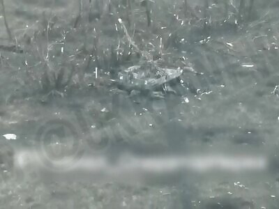 Liquidated Russian meat near IFV