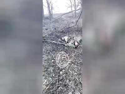 Going camping is an option 