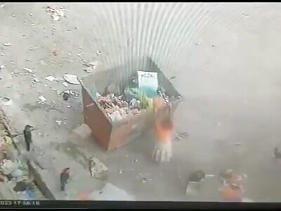 Young girl trying to scavenge for food gets fatally crushed