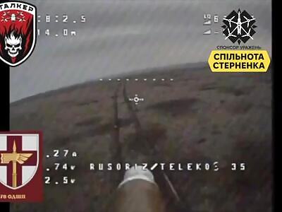 Orc took a direct FPV hit