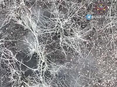 The 110 Mechanized Brigade dropping some grandes on invaders 