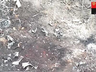 79 dead Russian invaders in Sinkivka