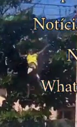 damn wire thief falls after being shocked