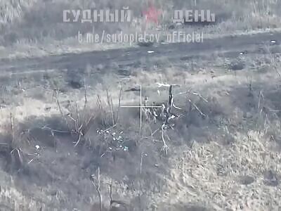 Russian drones depopulating Ukraine 