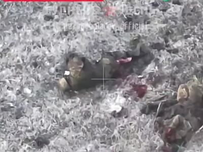 Brutal Drone Strikes on Ukrops 