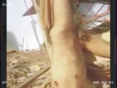 Gore compilation. (3)