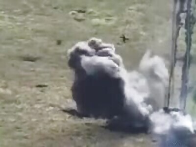 Was that an orc trying to reach the moon? 